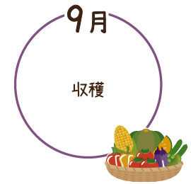 9月 収穫